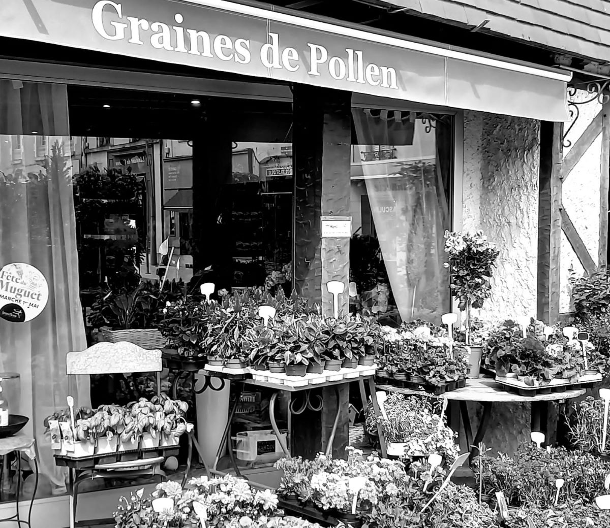 livraison de fleurs Neuville-aux-Bois (45), livraison de fleurs Chilleurs-aux-Bois (45), livraison de fleurs Artenay (45)